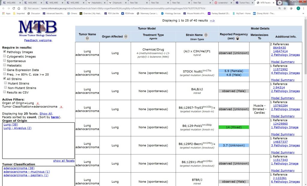 Faceted search filters on an ecommerce website illustrating product filtering and navigation